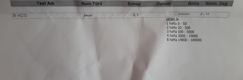 gebelik testi sonucuna göre hamilemiyim.jpg