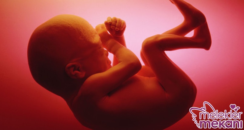 gebelikte 21. hafta.jpg