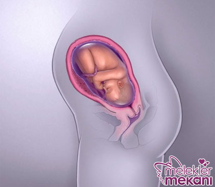 Gebelikte 32 . Hafta.jpg