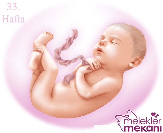 Gebelikte 33 . Hafta.jpg