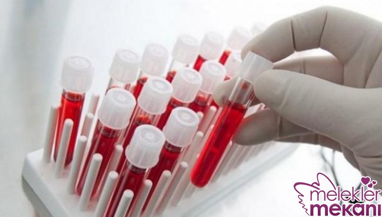 gebelikte gerekli tahliller.jpg