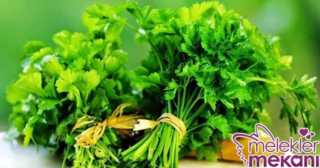 gebelikte maydanoz yemek.jpg