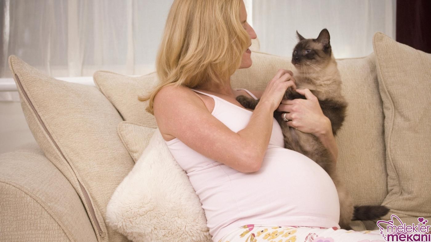 gebelikte toksoplazma.jpg