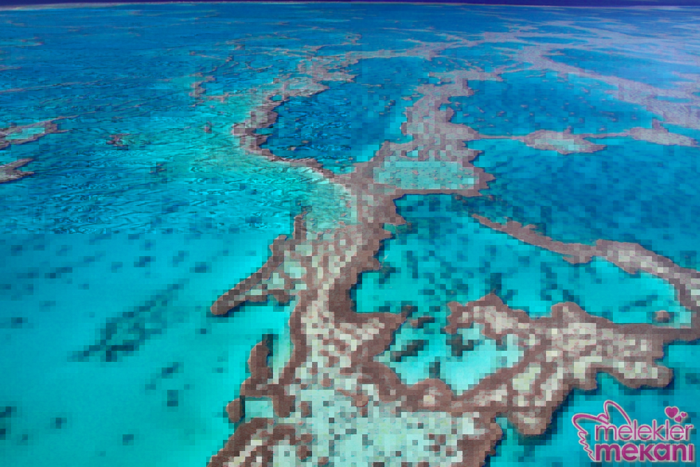 Gerçek resimler dünyanın harika yerleri (1).jpg