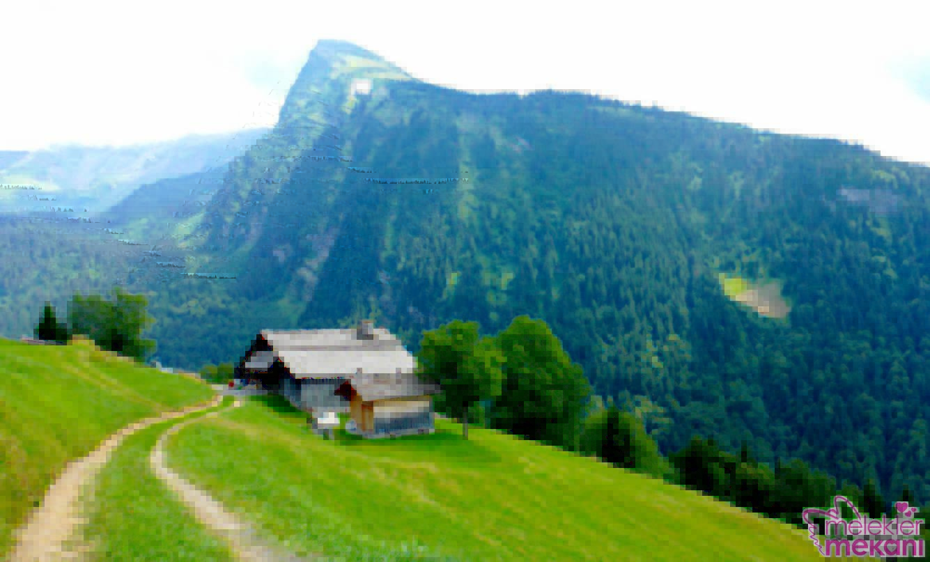 Gerçek resimler dünyanın harika yerleri (8).jpg