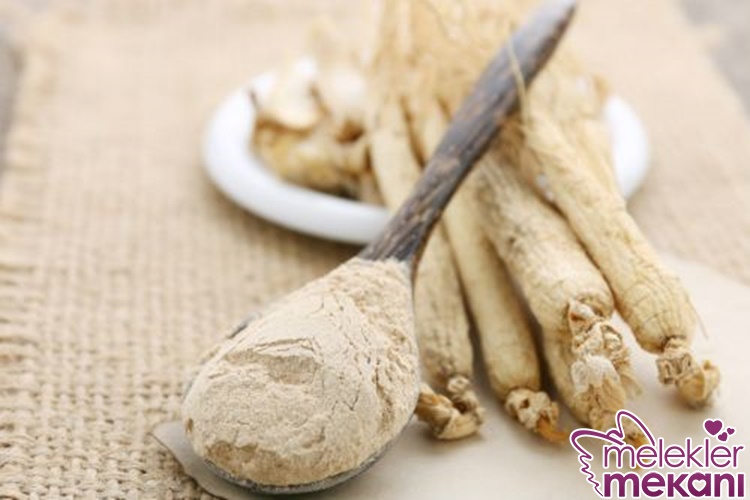 ginsengin faydaları ahmet maranki.jpg