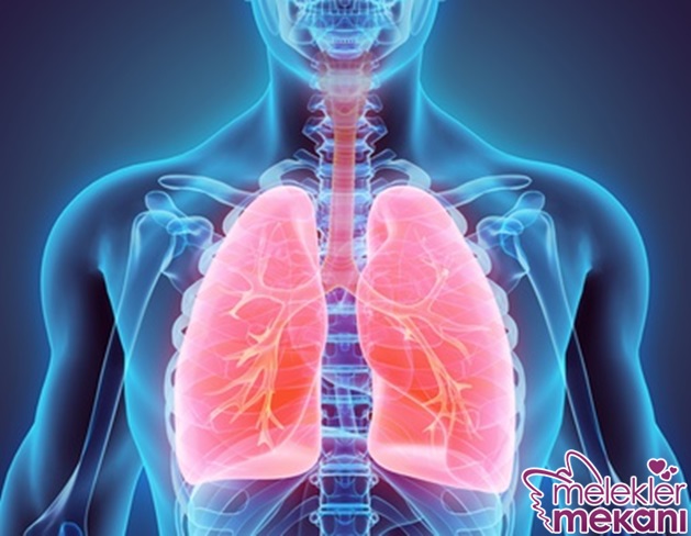 gögüs enfeksiyonu.jpg