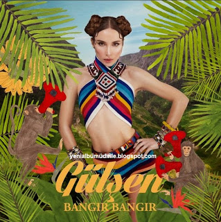 gulsen_bangir_bangir_2015_alb_m_.jpg