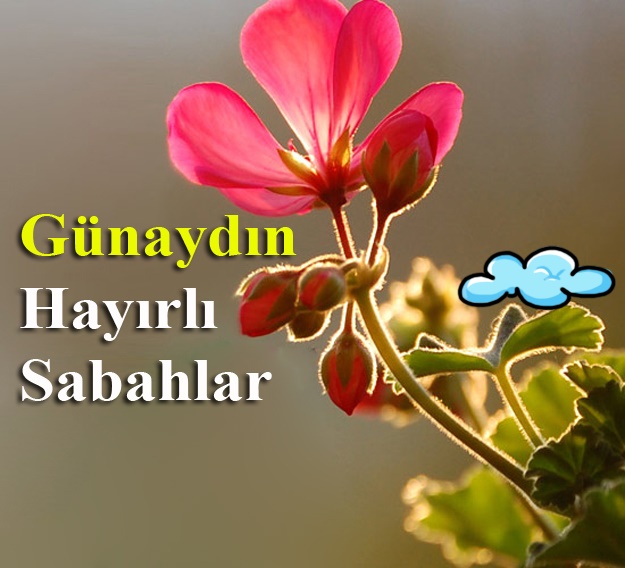 günaydın.jpg