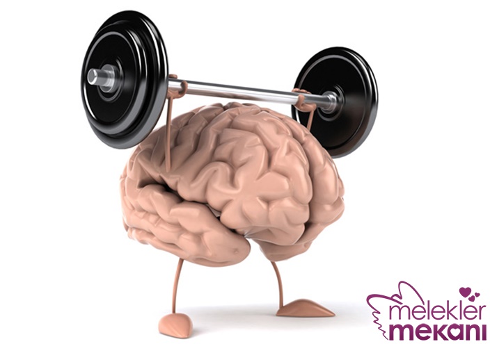 hafıza güçlendirme.jpg