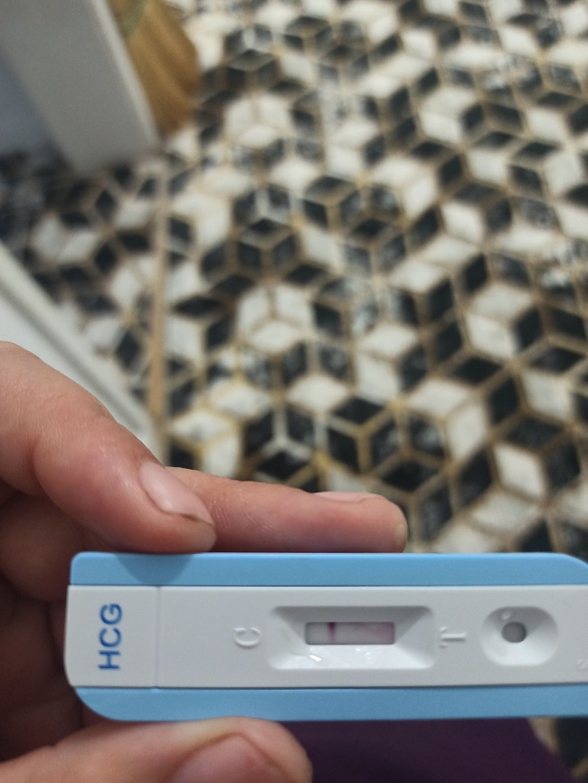 hamilemiyim kızlar.jpg