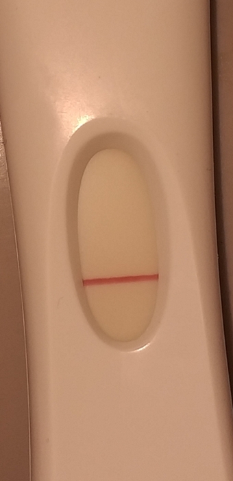 hamilemiyim testimin sonucu.jpg