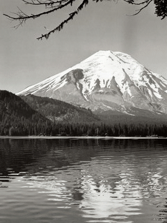 hareketli temalar (15).gif