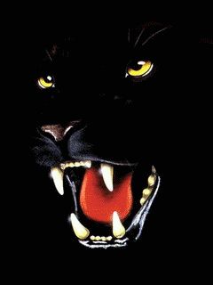 hareketli temalar (2).gif