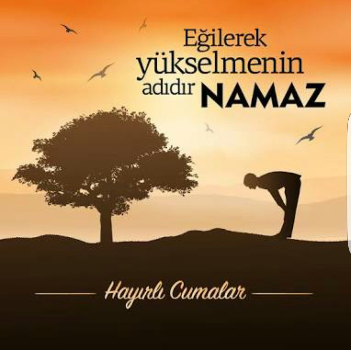 hayırlı cumalar.jpg