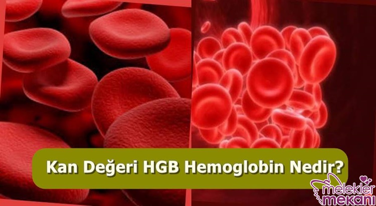 hemoglobin değerleri yaşa göre.jpg