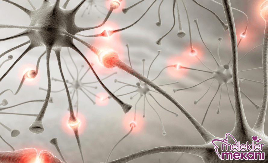 hormon dengesizliği.png