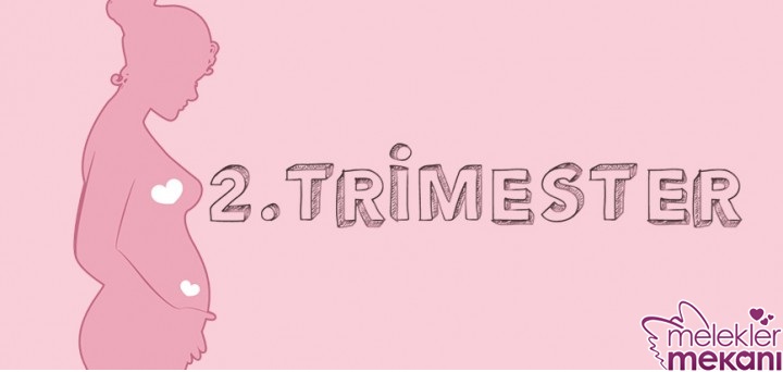 ikinci trimester testleri.jpg
