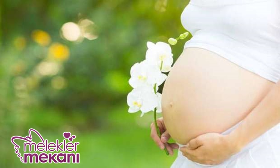 ilkbaharda gebelik oranı.jpg