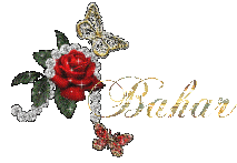 isim_avatarlar_ (95).gif