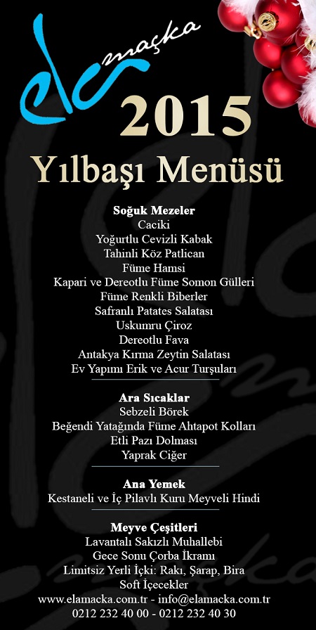 istanbul yilbasi (16).jpg