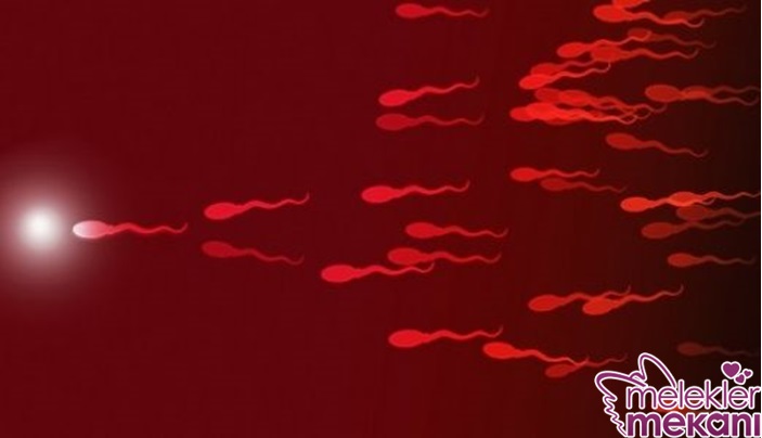 kanlı sperm.jpg