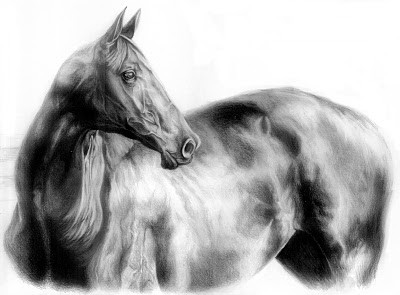 karakalem at resimleri_ (10).jpg