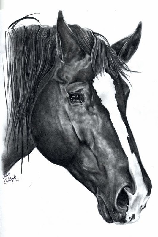 karakalem at resimleri_ (2).jpg