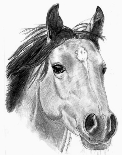 karakalem at resimleri_ (5).jpg