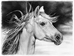 karakalem at resimleri_ (6).jpg