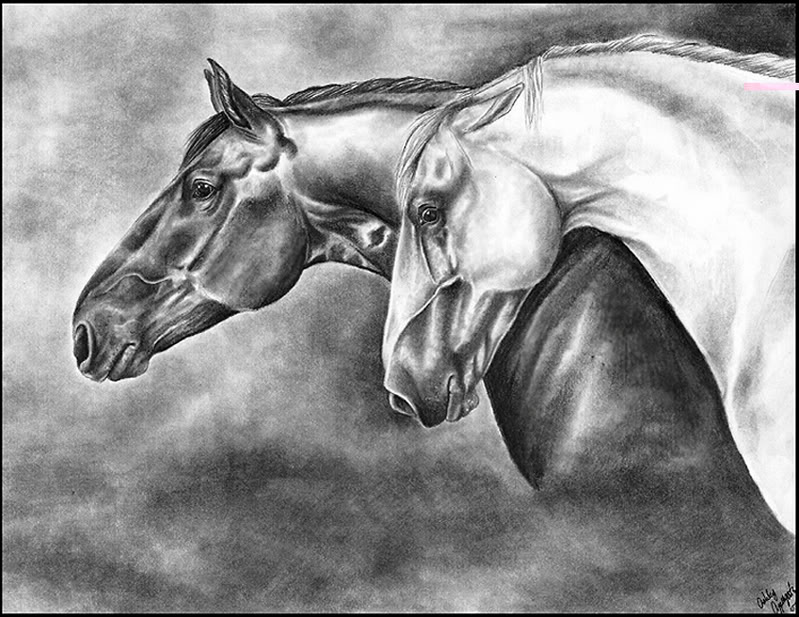 karakalem at resimleri_ (8).jpg