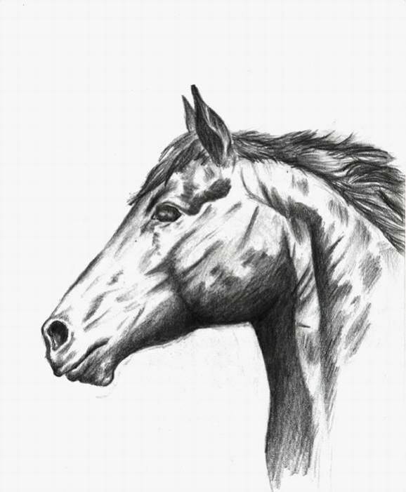 karakalem calismalari (12).jpg