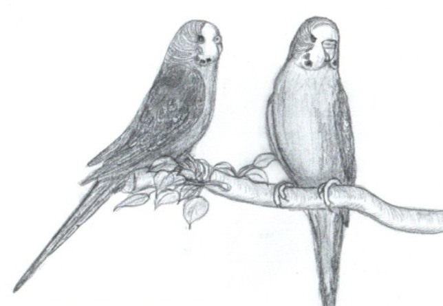 karakalem calismalari (4).jpg