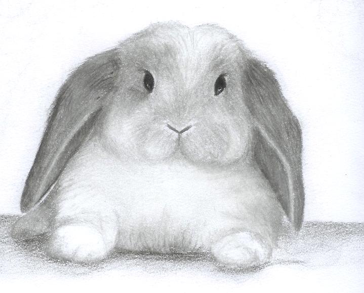 karakalem calismalari (9).jpg