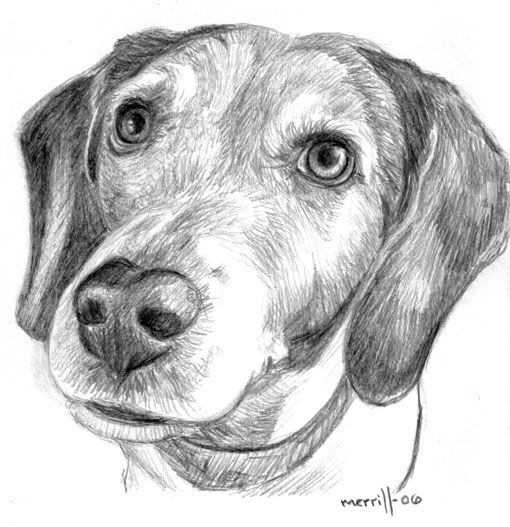 karakalem resimler 8.jpg