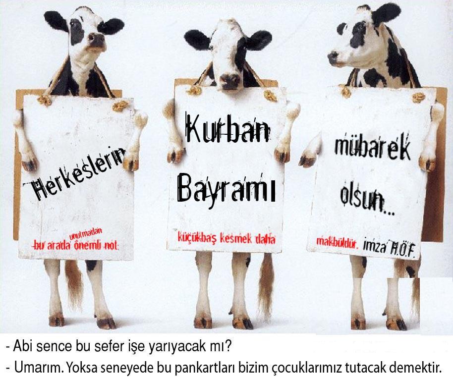 kurban bayrami (1).jpg