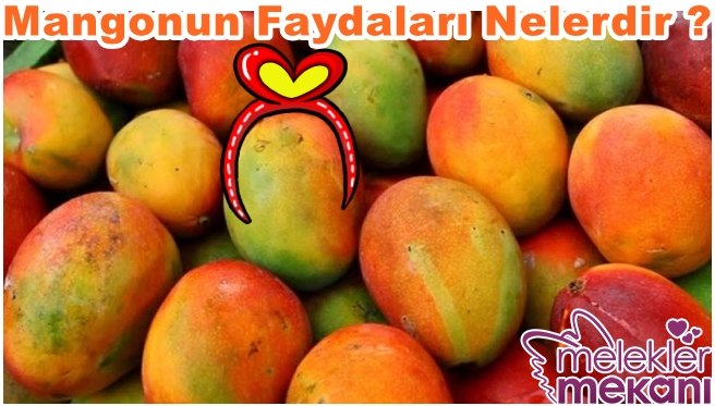 mangonun faydaları nelerdir.jpg