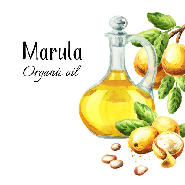 marula yagi ne ise yarar.jpg