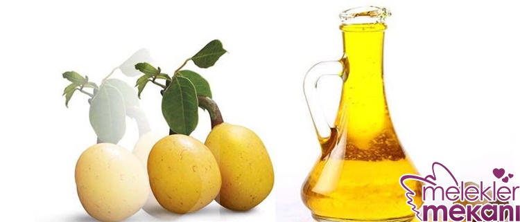 marula yağı nedir faydaları nelerdir.jpg