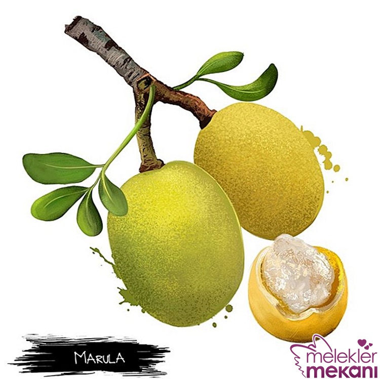 marula yağının saça ve cilde faydaları.jpg