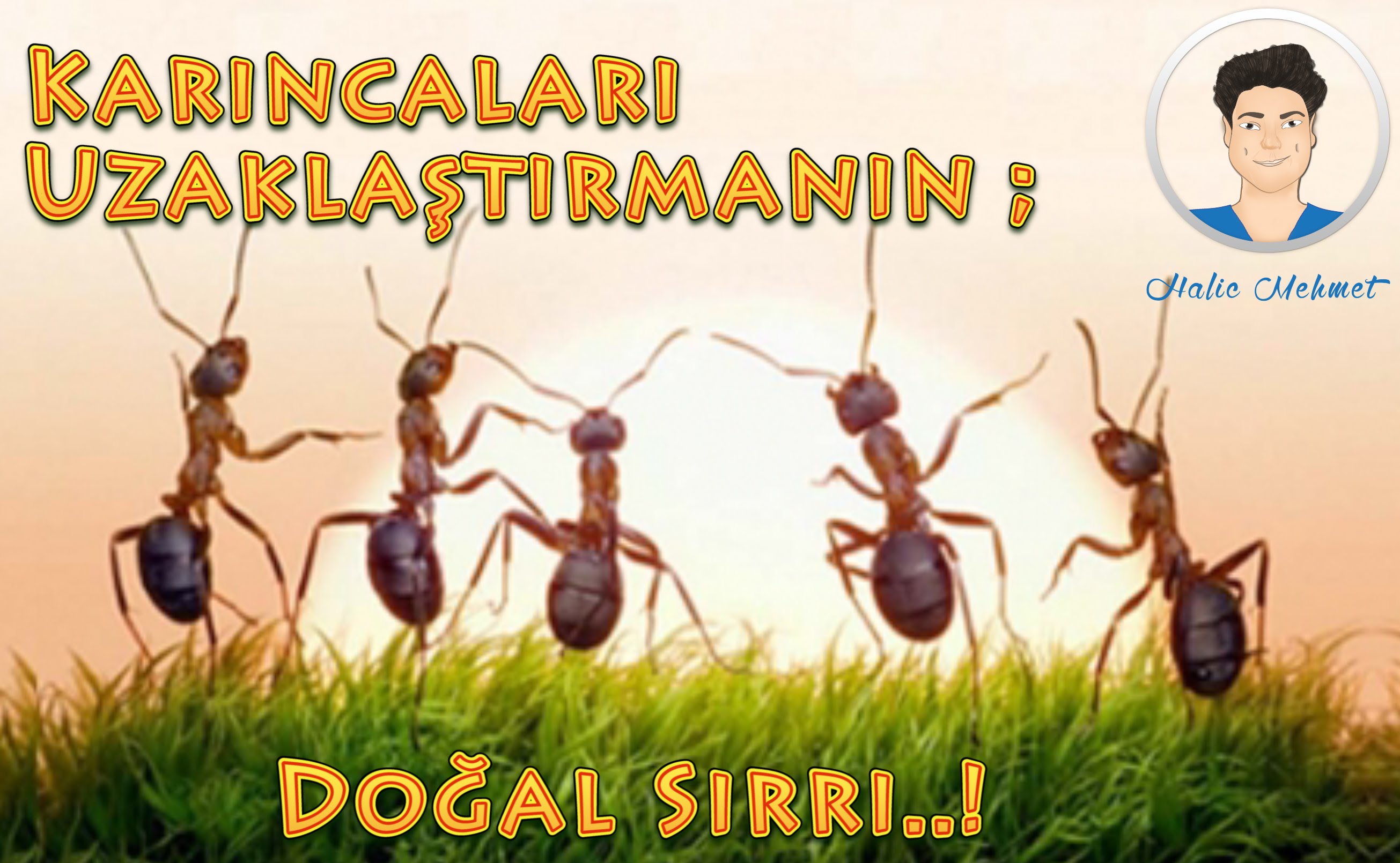 maxresdefault (1).jpg