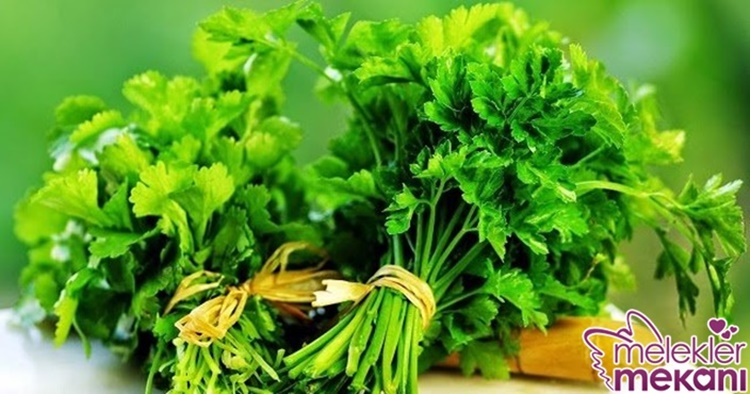 maydanoz düşüğe neden olurmu.jpg