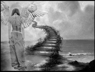 melek_avatarlari__ (1).jpg