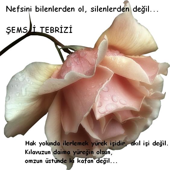 mevlana (11).jpg