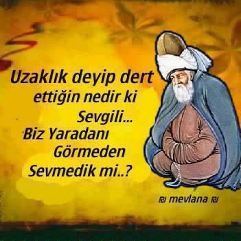 mevlana (12).jpg