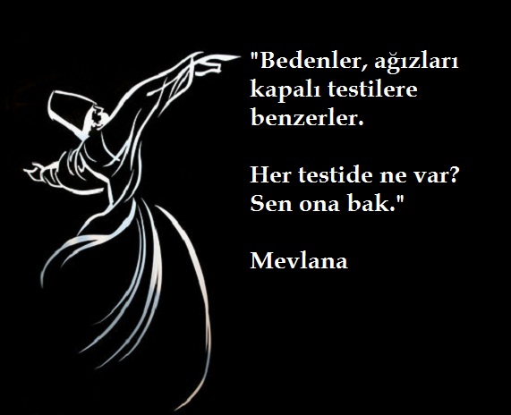 mevlana (15).jpg