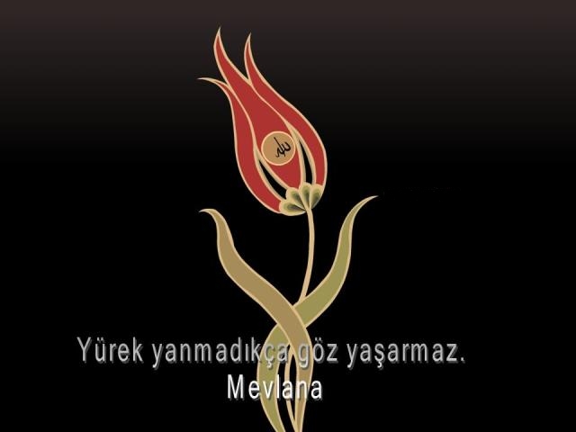 mevlana (5).jpg