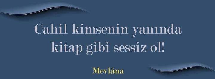 mevlana (8).jpg