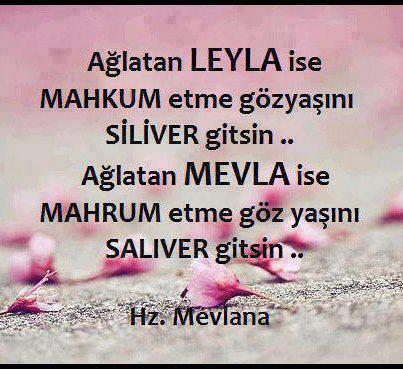 mevlana sözleri (4).jpg