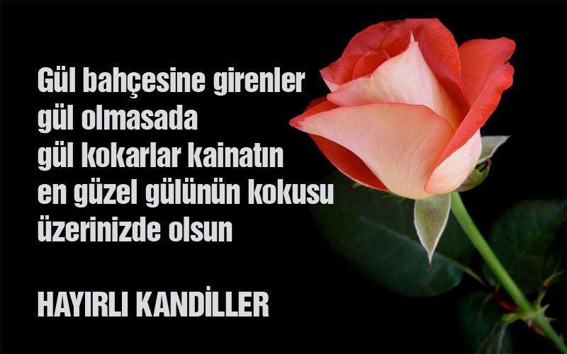 mevlid-kandili-mesajlari 2015 123567787654ty7u87 1.jpg